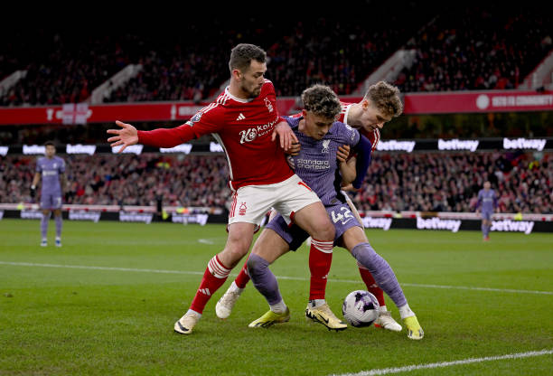 赛的观赏性 赛的观赏性