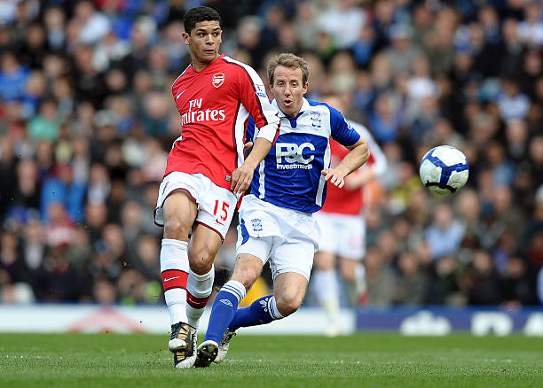 他对坚韧的 他对坚韧的