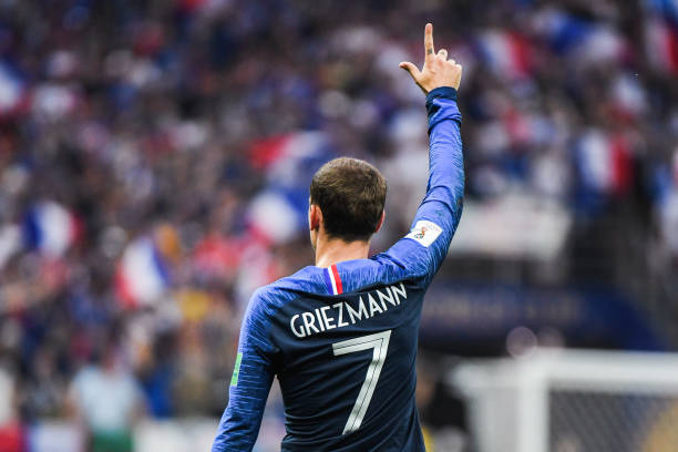 毛驴接地气 毛驴接地气